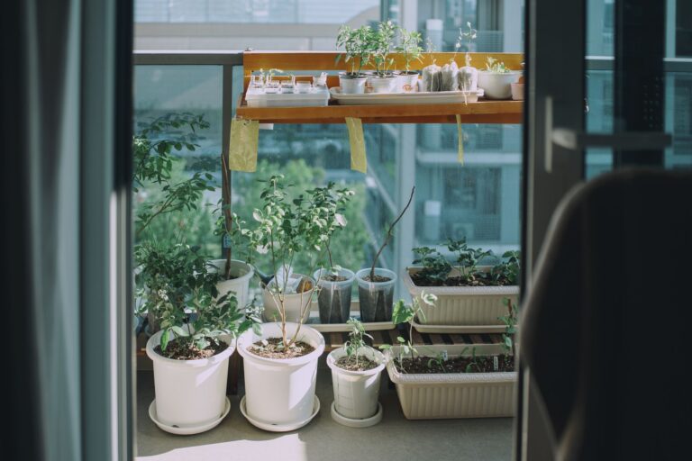 Quels jardins urbains visiter pour s&rsquo;évader en ville ?