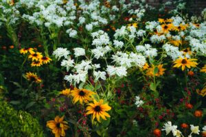 Quelles plantes choisir pour composer une palette végétale pour votre massif ?