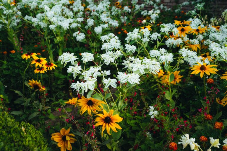Quelles plantes choisir pour composer une palette végétale pour votre massif ?