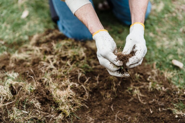 Comment aménager un jardin dans un sol acide ?
