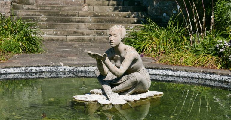 Comment concevoir un bassin d&rsquo;ornement ?