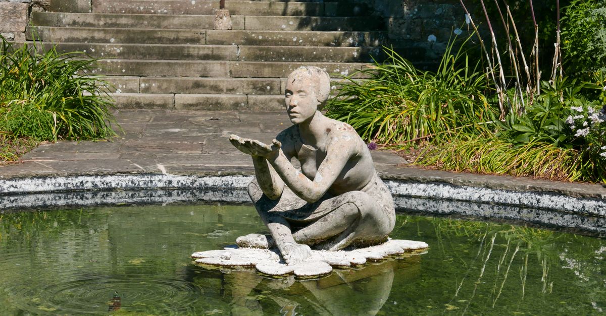 Comment concevoir un bassin d’ornement ? Comment concevoir un bassin d’ornement ?